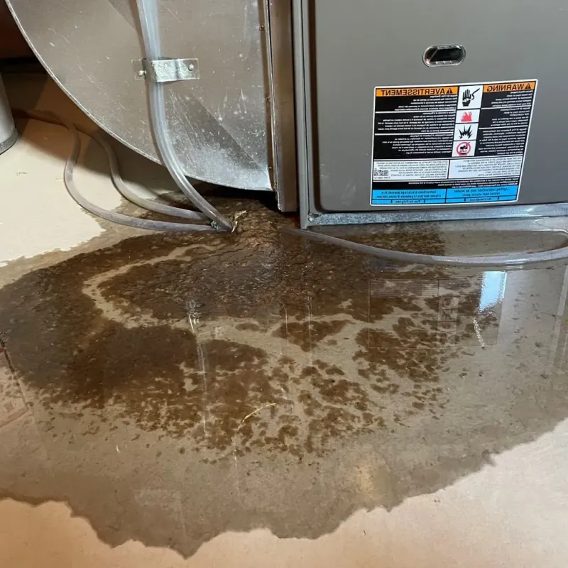 Pipe Burst and Leak Restoration in Rafael Gonzalez, PR
