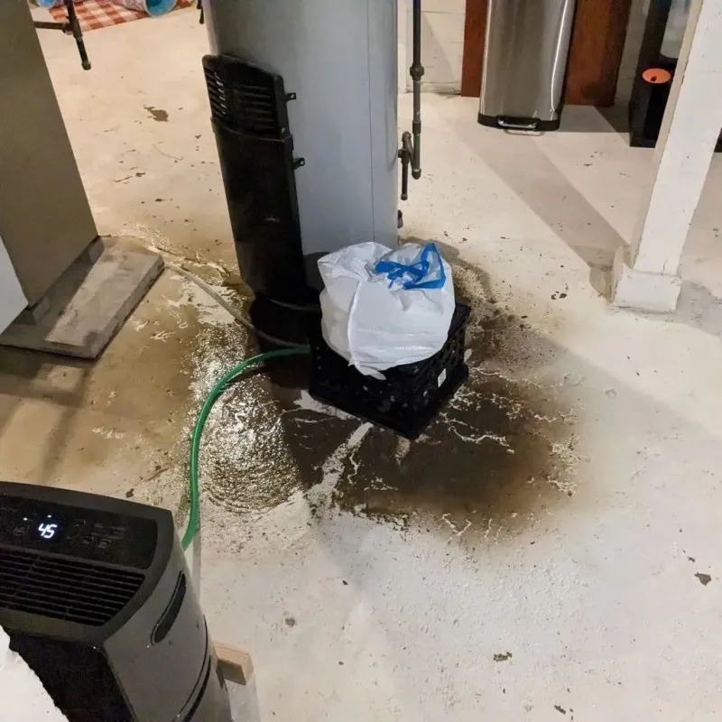 Sewage Backup Cleanup Service in Rafael Gonzalez, PR